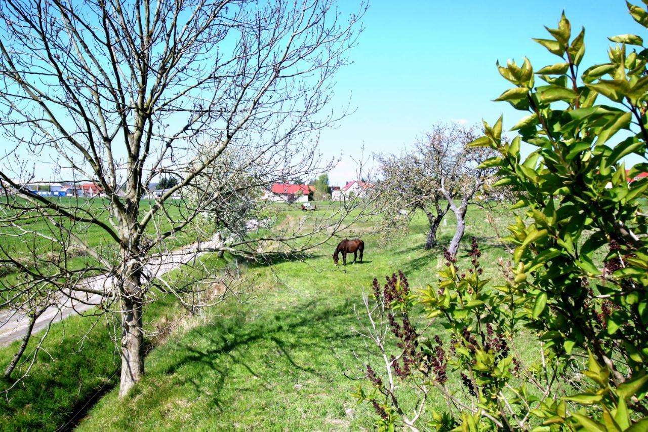 Ferienhaus Vera Moritzburg Dış mekan fotoğraf